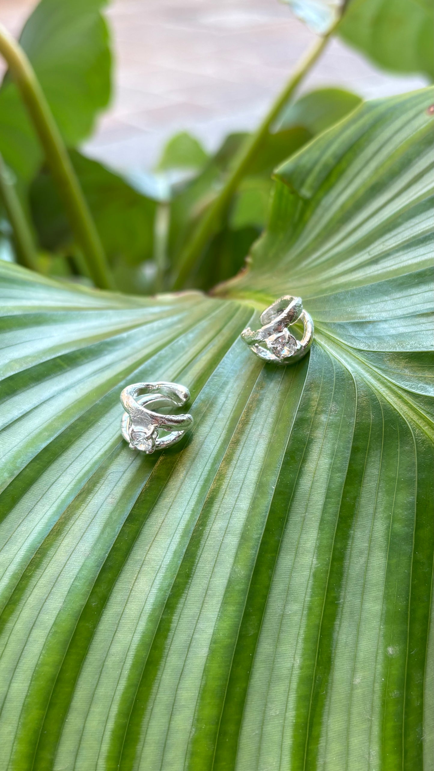 Earcuff Alga