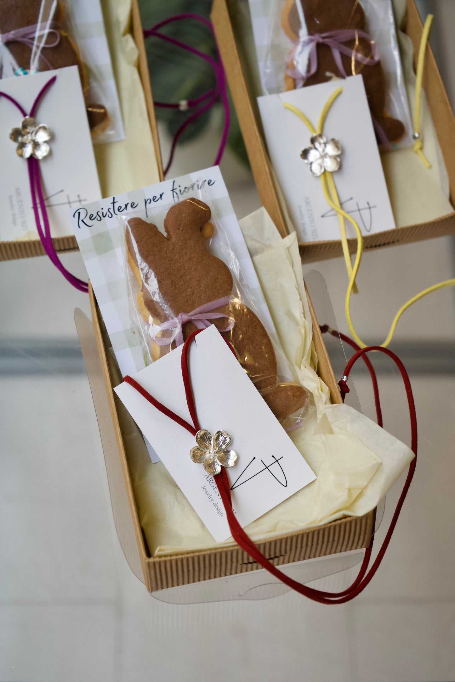 Box-Resistere per Fiorire