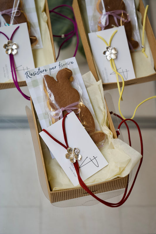 Box-Resistere per Fiorire